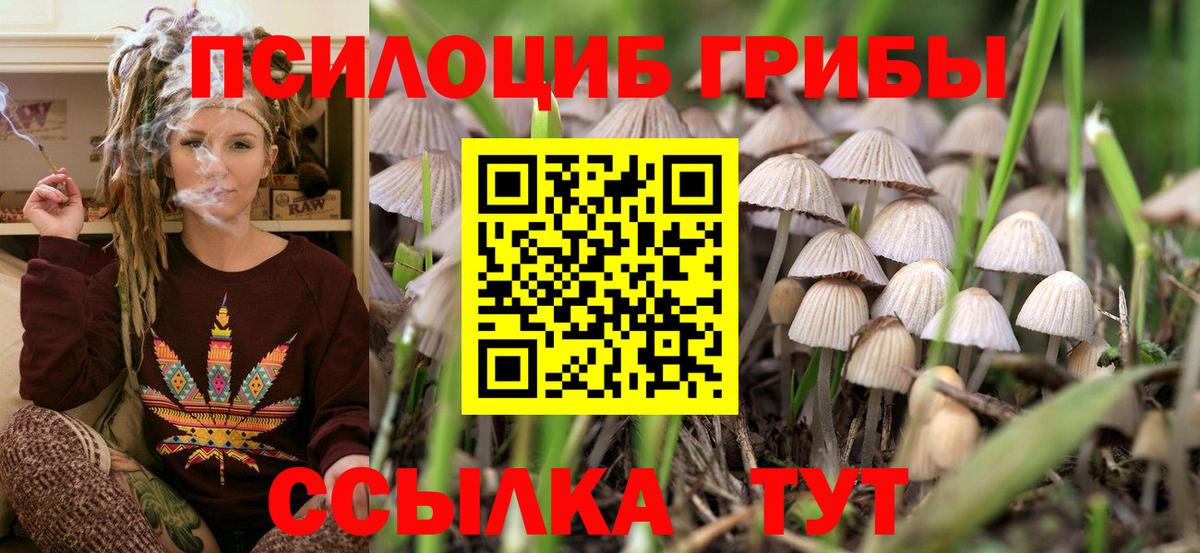Псилоцибиновые грибы GOLDEN TEACHER Красноармейск